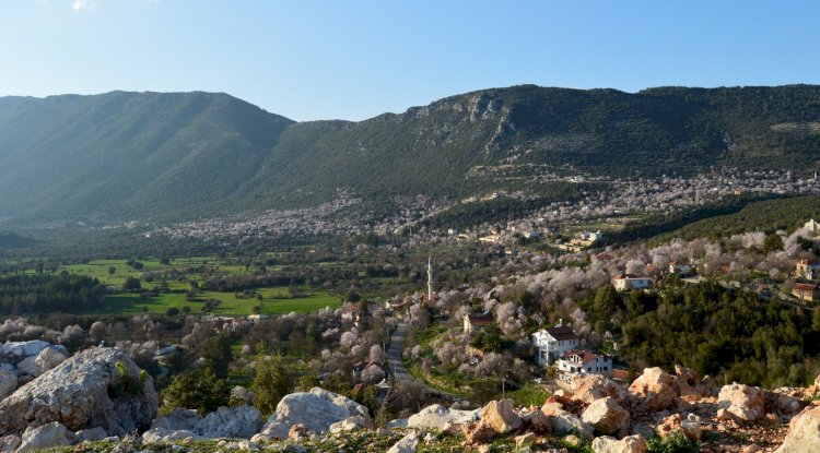 Çukurbağ